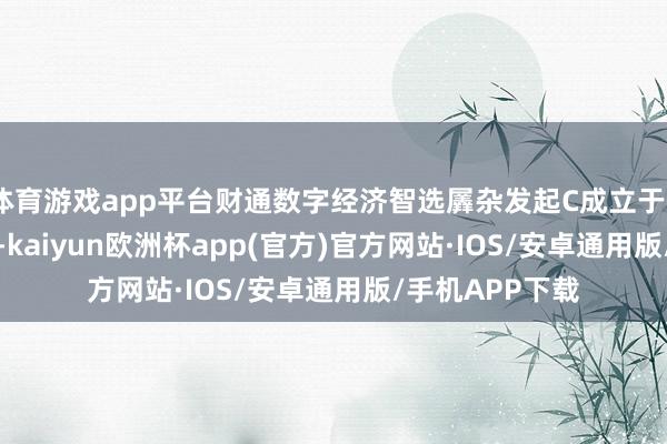 体育游戏app平台财通数字经济智选羼杂发起C成立于2024年