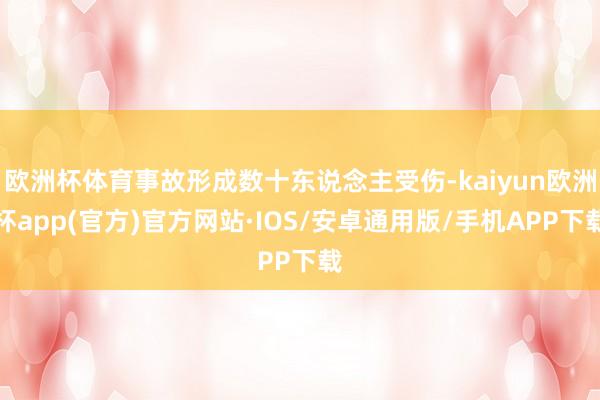 欧洲杯体育事故形成数十东说念主受伤-kaiyun欧洲杯app