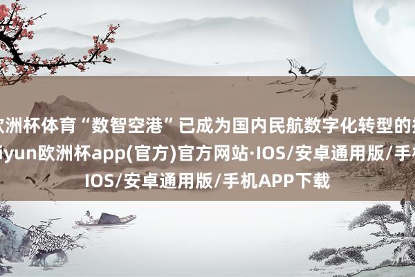 欧洲杯体育“数智空港”已成为国内民航数字化转型的抨击趋势-k