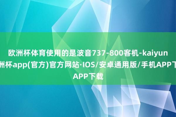 欧洲杯体育使用的是波音737-800客机-kaiyun欧洲杯