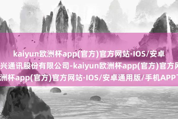 kaiyun欧洲杯app(官方)官方网站·IOS/安卓通用版/手机APP下载中兴通讯股份有限公司-kaiyun欧洲杯app(官方)官方网站·IOS/安卓通用版/手机APP下载