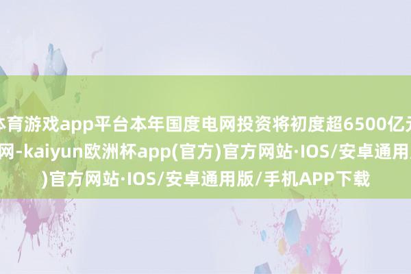 体育游戏app平台本年国度电网投资将初度超6500亿元_大皖