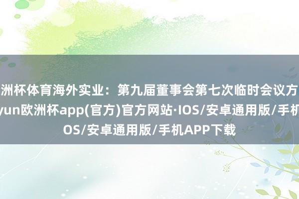 欧洲杯体育海外实业：第九届董事会第七次临时会议方案公告-ka