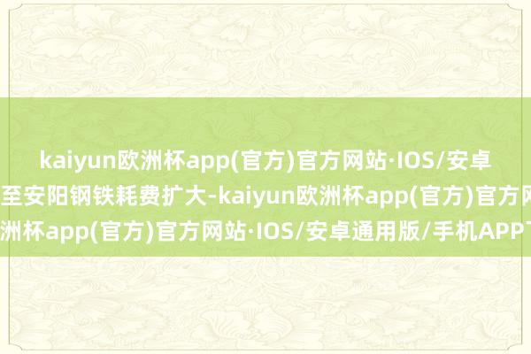kaiyun欧洲杯app(官方)官方网站·IOS/安卓通用版/手机APP下载甚至安阳钢铁耗费扩大-kaiyun欧洲杯app(官方)官方网站·IOS/安卓通用版/手机APP下载