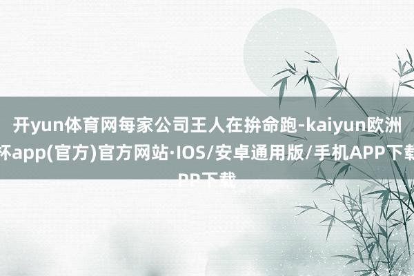 开yun体育网每家公司王人在拚命跑-kaiyun欧洲杯app(官方)官方网站·IOS/安卓通用版/手机APP下载