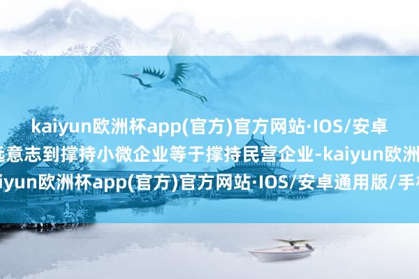 kaiyun欧洲杯app(官方)官方网站·IOS/安卓通用版