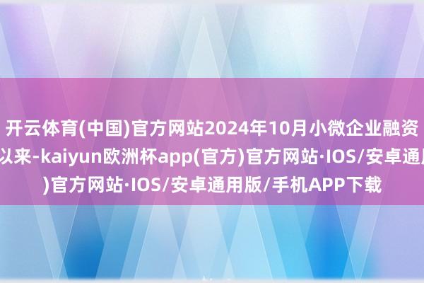 开云体育(中国)官方网站2024年10月小微企业融资配合责任