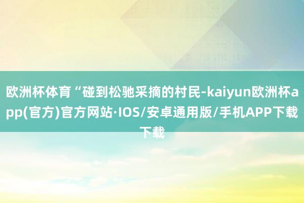 欧洲杯体育“碰到松驰采摘的村民-kaiyun欧洲杯app(官方)官方网站·IOS/安卓通用版/手机APP下载