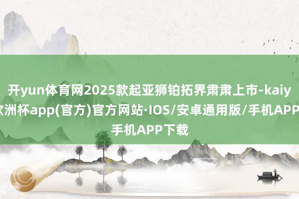 开yun体育网2025款起亚狮铂拓界肃肃上市-kaiyun欧