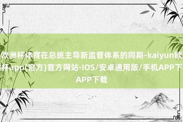 欧洲杯体育在总统主导新监管体系的同期-kaiyun欧洲杯ap