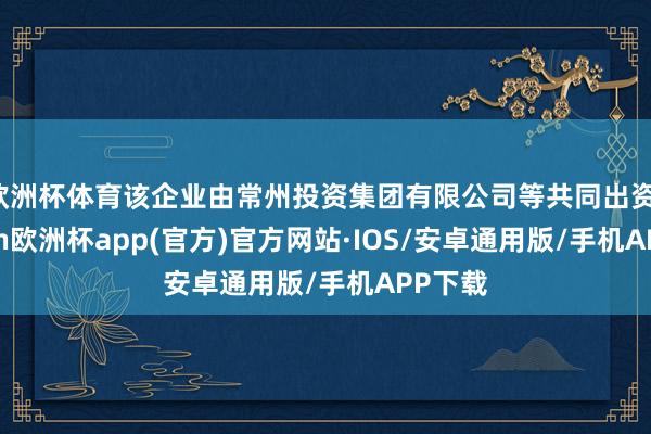 欧洲杯体育该企业由常州投资集团有限公司等共同出资-kaiyu