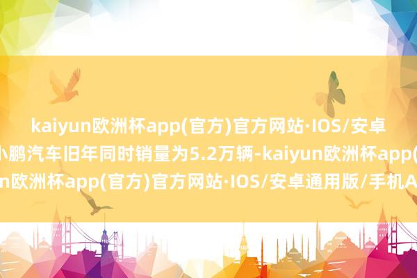 kaiyun欧洲杯app(官方)官方网站·IOS/安卓通用版