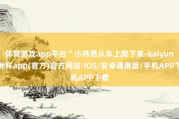 体育游戏app平台＂小玮思从车上爬下来-kaiyun欧洲杯a