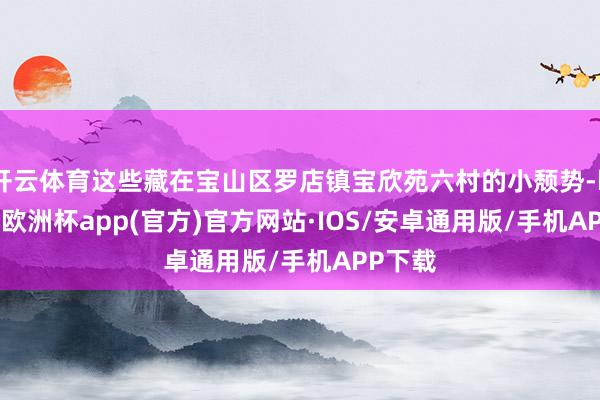 开云体育这些藏在宝山区罗店镇宝欣苑六村的小颓势-kaiyun