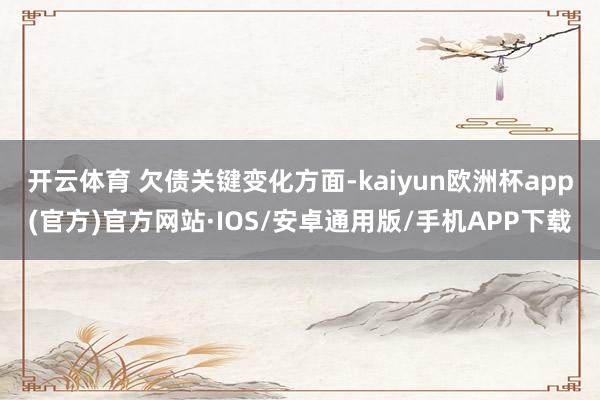 开云体育 　　欠债关键变化方面-kaiyun欧洲杯app(官