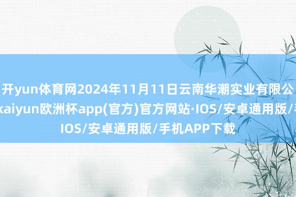 开yun体育网2024年11月11日云南华潮实业有限公司价钱