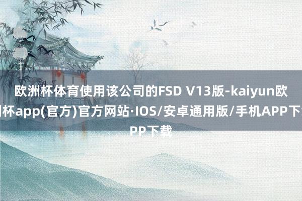 欧洲杯体育使用该公司的FSD V13版-kaiyun欧洲杯a