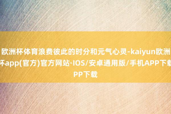 欧洲杯体育浪费彼此的时分和元气心灵-kaiyun欧洲杯app