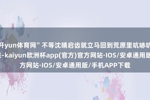 开yun体育网”不等沈晴启齿就立马回到荒原里吭哧吭哧的割起稻