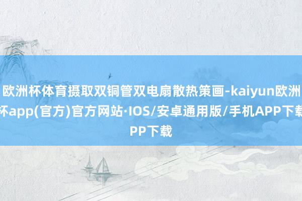 欧洲杯体育摄取双铜管双电扇散热策画-kaiyun欧洲杯app