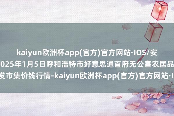 kaiyun欧洲杯app(官方)官方网站·IOS/安卓通用版