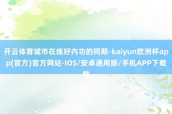 开云体育城市在练好内功的同期-kaiyun欧洲杯app(官方