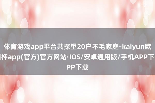 体育游戏app平台共探望20户不毛家庭-kaiyun欧洲杯a