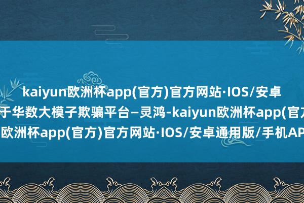 kaiyun欧洲杯app(官方)官方网站·IOS/安卓通用版
