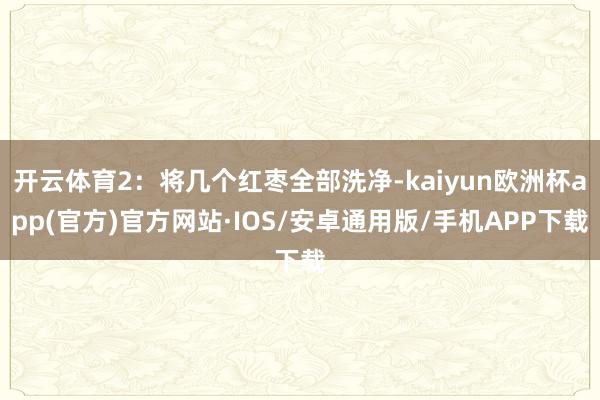 开云体育2：将几个红枣全部洗净-kaiyun欧洲杯app(官