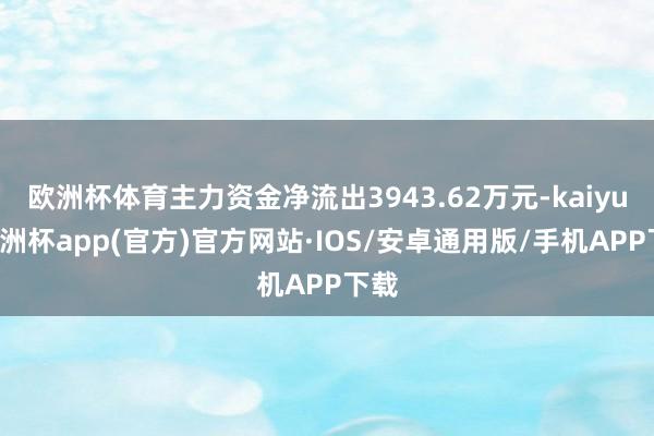 欧洲杯体育主力资金净流出3943.62万元-kaiyun欧洲