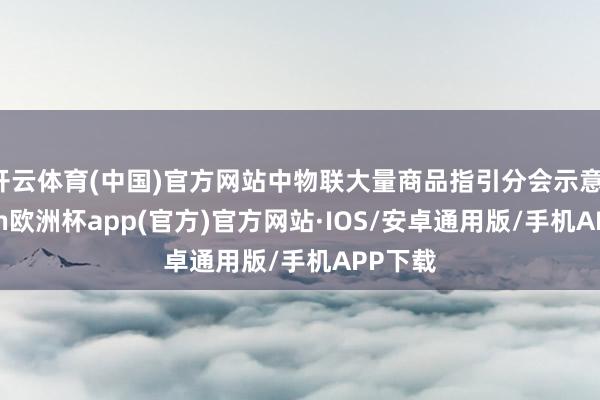 开云体育(中国)官方网站中物联大量商品指引分会示意-kaiyun欧洲杯app(官方)官方网站·IOS/安卓通用版/手机APP下载