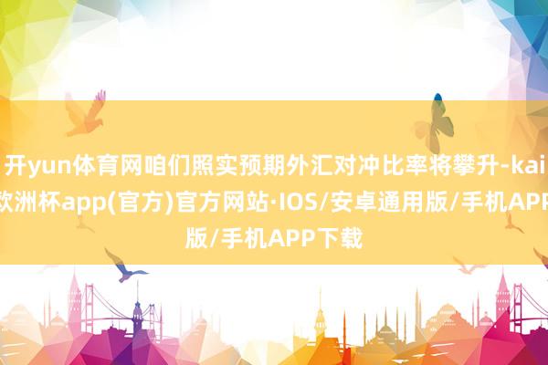 开yun体育网咱们照实预期外汇对冲比率将攀升-kaiyun欧