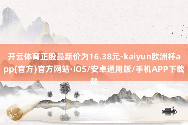开云体育正股最新价为16.38元-kaiyun欧洲杯app(