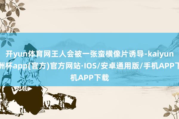 开yun体育网王人会被一张蛮横像片诱导-kaiyun欧洲杯a