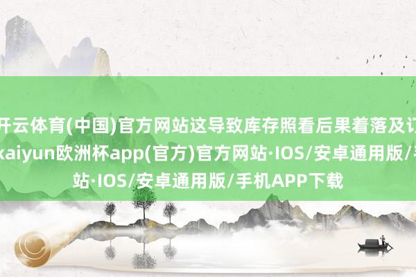 开云体育(中国)官方网站这导致库存照看后果着落及订单本质延误