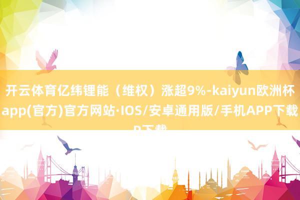开云体育亿纬锂能（维权）涨超9%-kaiyun欧洲杯app(