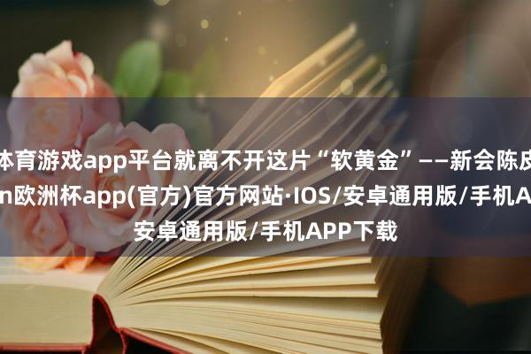 体育游戏app平台就离不开这片“软黄金”——新会陈皮-kai