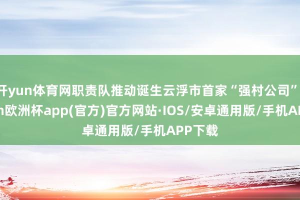 开yun体育网职责队推动诞生云浮市首家“强村公司”-kaiy