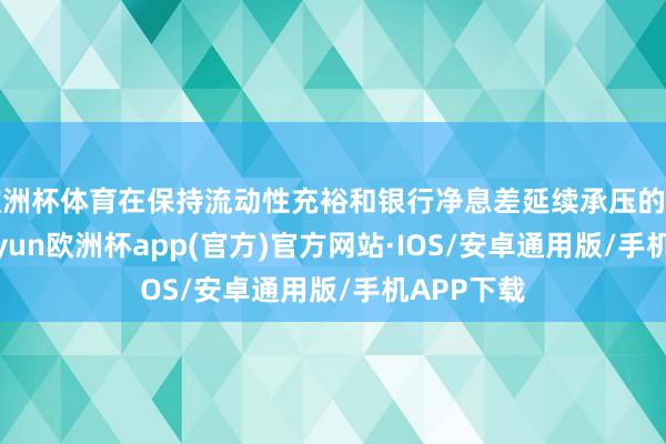 欧洲杯体育在保持流动性充裕和银行净息差延续承压的布景下-ka