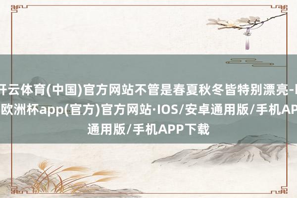 开云体育(中国)官方网站不管是春夏秋冬皆特别漂亮-kaiyu